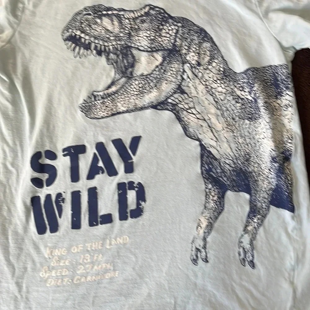 Boys tee shirt 🦖